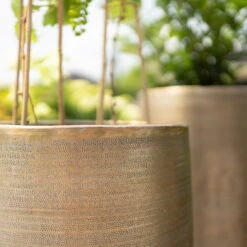 Pflanzgefäß 'Rowen', Gold, Ø 38 X H 62 Cm 13 Pflanzgefäß 'Rowen', Gold, Ø 38 X H 62 Cm -Bio Pflanzen Verkauf 3210801630 3210801631 3210801632 3210801633 Pflanzgefaess Rowen gold 3 115016