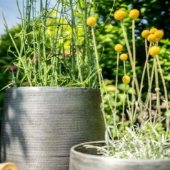 Pflanzgefäß 'Rowen', Silber, Ø 41 X H 72 Cm -Bio Pflanzen Verkauf 3210801635 3210801636 3210801637 3210801638 Pflanzgefaess Rowen silber 12 115029 1