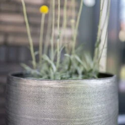 Pflanzgefäß 'Rowen', Silber, Ø 38 X H 62 Cm -Bio Pflanzen Verkauf 3210801635 3210801636 3210801637 3210801638 Pflanzgefaess Rowen silber 7 115026