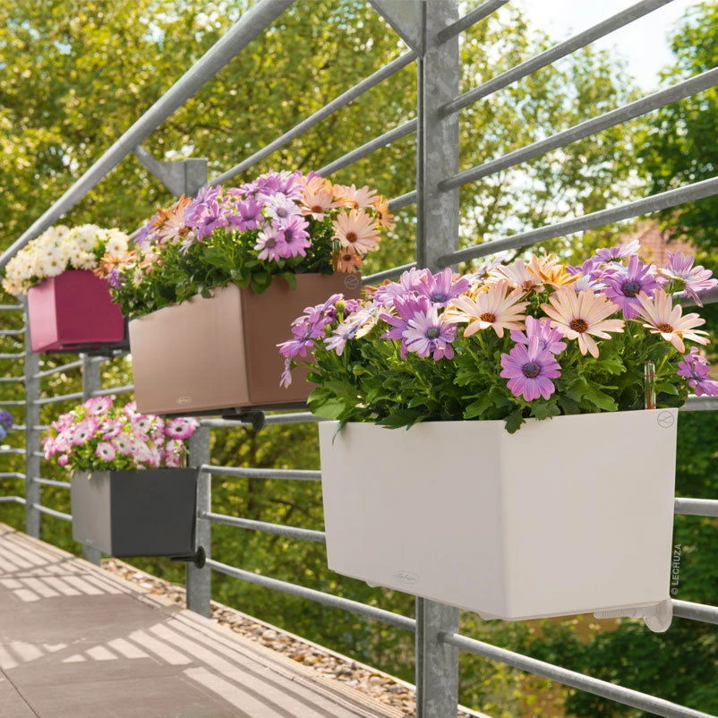 LECHUZA Balconera Color All-in-One-Set, Weiß, 50 X 19 X 19 Cm