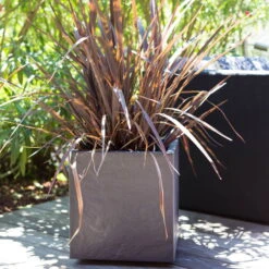 Pflanztrog 'Volcania Dado', Anthrazit, L 39,5 X B 39,5 X H 43,5 Cm 11 Pflanztrog 'Volcania Dado', Anthrazit, L 39,5 X B 39,5 X H 43,5 Cm -Bio Pflanzen Verkauf 3230101084 Pflanztrog Volcania Dado anthrazit 39x39xH43cm 31Ltr6 75428