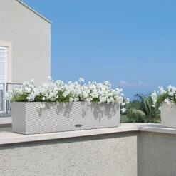 Lechuza 'Balconera Cottage 80', Schwarz, 79 X 19 X 19 Cm -Bio Pflanzen Verkauf 3230101165 Balconera Cottage 80 3 103364