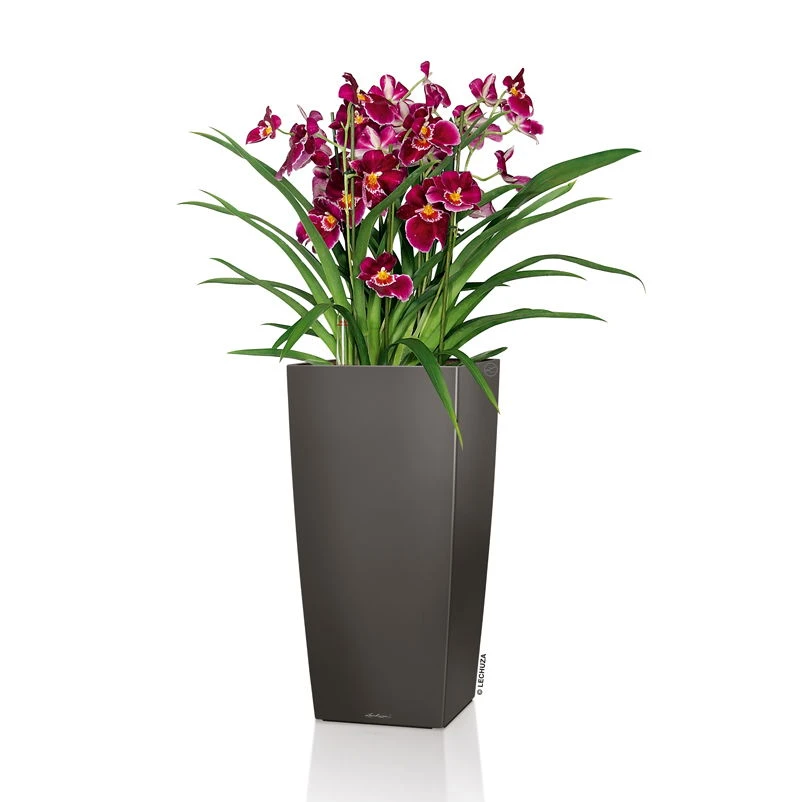 LECHUZA Cubico Premium 40, Anthrazit-metallic, All-in-One-Set, 40 X 40, H:75 Cm 1 LECHUZA Cubico Premium 40, Anthrazit-metallic, All-in-One-Set, 40 X 40, H:75 Cm