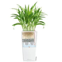 LECHUZA Cubico Premium 40, Weiß Hochglanz, All-in-One-Set, 40 X 40, H:75 Cm -Bio Pflanzen Verkauf 3325100114 CubicoPremium22 weiss All in One Set 22x22x41cm RGB 7573