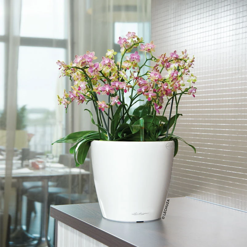 LECHUZA Classico Premium 28 LS, Weiß Hochglanz, All-in-One-Set, Ø 28 Cm, H:26 Cm 1 LECHUZA Classico Premium 28 LS, Weiß Hochglanz, All-in-One-Set, Ø 28 Cm, H:26 Cm