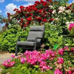 Kölle Sessel 'Australien', Alu, Polyester, Rücken Verstellbar -Bio Pflanzen Verkauf 3910302460 113719