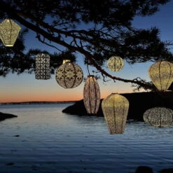 Solarlaterne 'Bulb 16 Occult', Gold, Ø 16 X 20 Cm -Bio Pflanzen Verkauf 72462 lumiz IMG 8262 123930 11