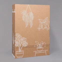 Gardenie, Mit Keramiktopf Dallas Weiß, Topf-Ø 13 Cm -Bio Pflanzen Verkauf B2 02 Karton Sets mit Keramik 1 126161 3