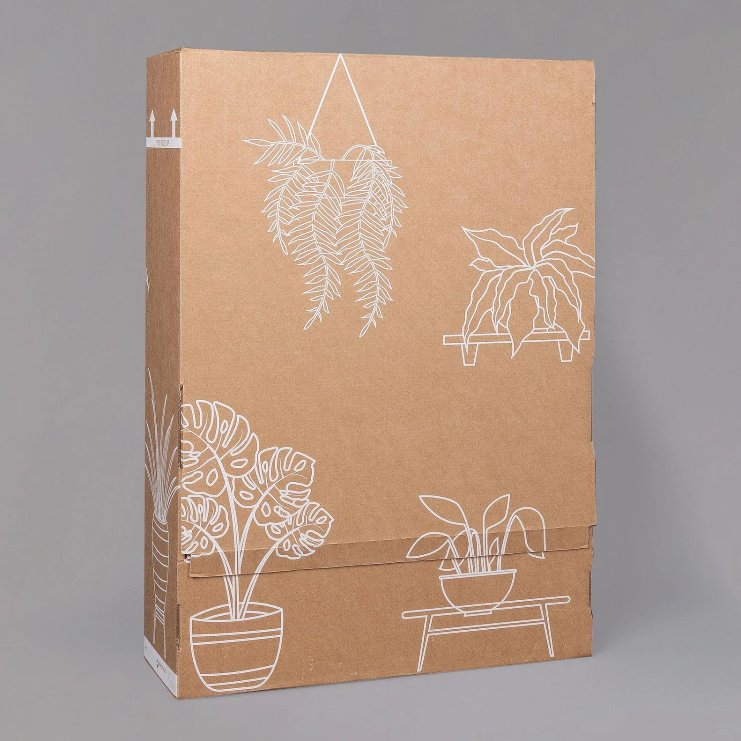 Rose Mit Topf Dallas Weiß, Topf-Ø 13 Cm, 3er-Set 5 Rose Mit Topf Dallas Weiß, Topf-Ø 13 Cm, 3er-Set – Bild 5