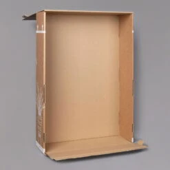 Glücksfeder Inkl. Übertopf 'Dallas' Weiß, Topf-Ø 12 Cm, 3er-Set -Bio Pflanzen Verkauf B2 02 Karton Sets mit Keramik 3 126159 2